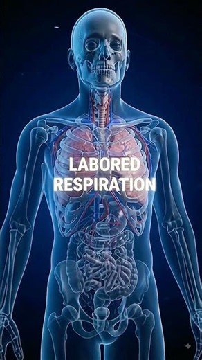 Causes,effects and preventive measures of emphysema