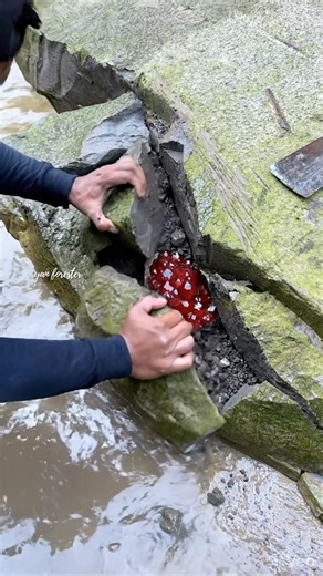 Discovery of red crystal stone behind the stone. #crystals #ruby #rubygems #gemstones #rockhunting