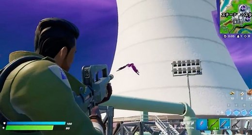 Where to find Golden and Purple crows in Fortnite Chapter 2 Season 8