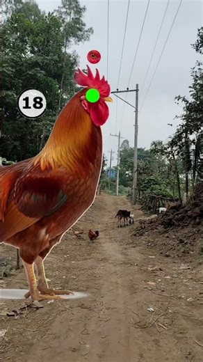 Friends, can stop the video in correct time? #challenge #challengeshorts