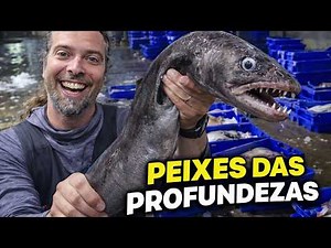 Deep-sea fish from the Azores — Impossible to catch from the shore! 🐟