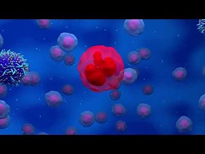 Top 10 Breakthroughs in Medical Science in 2024.