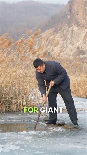 This Frozen Clam Shell Becomes a Beautiful Pipa Instrument