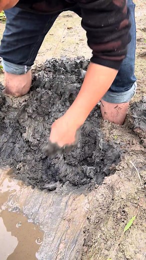 1M views · 4.7K reactions | Amazing fishing technique #fishing #fishlover #catchoftheday #viral #technique | TH Media | Facebook