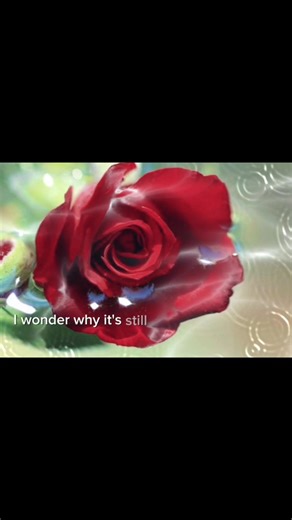 ♥Even Now♥ 🎤Barry Manilow🎤 | Sapphire Music & GIFs