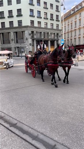 📍￼Vienna center🏛️ #austria #vienna #viral #youtubeshorts #explore #music #tourist #love #beautiful