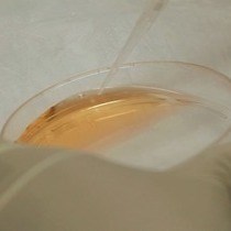 Video: Generation of High Quality Chromatin Immunoprecipitation DNA Template for High-throughput Sequencing ChIP-seq