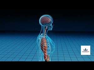 OSHA Asbestos Awareness Training