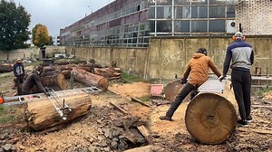 Cutting Wood Into Perfect Pieces With A High-Tech Machine