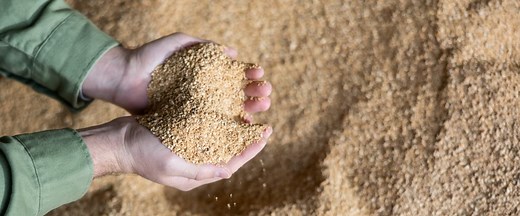 What is Master's Mix   How to Make It? | GroCycle