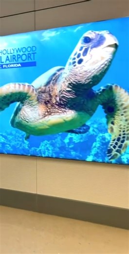 22 reactions | South Florida Vacay Vlog Is Live on YouTube  Sun, sand, and unforgettable memories! Watch our full South Florida vacation vlog now on YouTube — link in bio! #SouthFloridaVibes #TravelVlog #VacationMode #BeachDays #FloridaTrip #TravelCouple #VlogLife #YouTubeTravel #SunAndSea #FamilyVacation | Camille Louis Family | Facebook