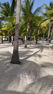 249K views · 7.3K reactions | Une plage incontournable en Guadeloupe ☀️呂便 | Love Guadeloupe | Facebook