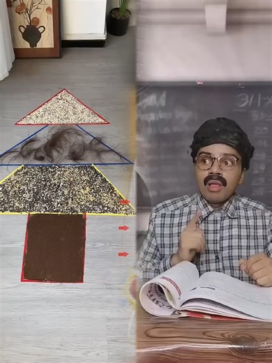 Effective Preparation for the NEET Exam: Emotional Insights