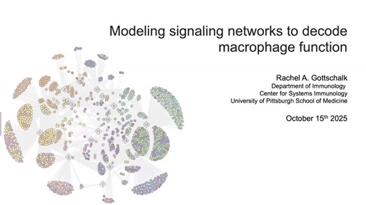 Modeling signaling networks to decode macrophage function