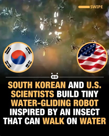 AI & Robotics on Instagram: "A team of researchers from Ajou University, UC Berkeley, and Georgia Tech has created Rhagobot, a tiny aquatic robot modeled after the water strider insect that can glide effortlessly across the surface of water. 🌊🤖 The robot uses fan-shaped legs lined with 21 artificial hairs that unfurl in just 0.01 seconds, generating thrust through surface tension and elasticity instead of muscles, giving it precise speed and control. In tests, Rhagobot outperformed earlier wat