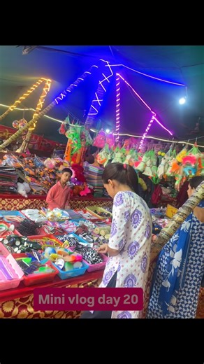 dhillonpreet_ vlog23 on Instagram: "Mini vlog day 20"