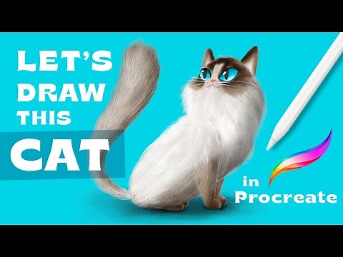 How to Draw a Cat in Procreate!
