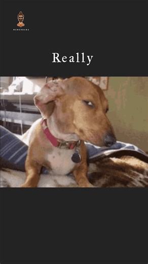 How To Close A Bottle Most Useful Tutorial Ever Meme