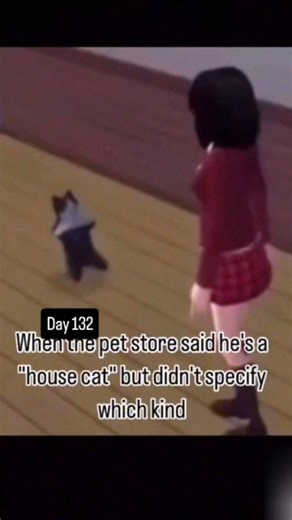 da daily Cat of da House. on Instagram: "Da Cat breaks it down for yo for the 132nd time. ------------------------- The music is called Eatin' Good ------------------------- Specs about Citroen Xsara Vts 2.0 16v 1998 Dimensions : Length : 416.7 cm / 164.06 inches Width : 169.8 cm / 66.85 inches Height : 140.5 cm / 55.31 inches Curb Weight : 1190 kg / 2624 lbs Num. of Seats : 5 seats Seat distribution : 2+3 Trunk capacity : 408 L / 14.4 cu-ft Engine : Fuel type : Petrol Engine type : Inline 4 Eng