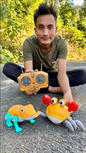 Remote control Crawling Crab 🦀and Frog testing 🐸🔥