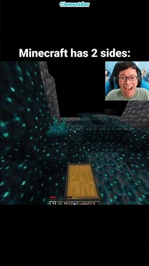 Minecraft 2 Sides Moment