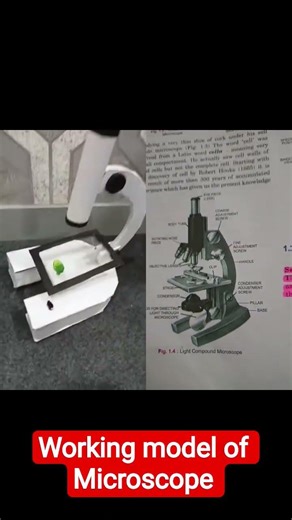 Working model of Compound microscope #biology #biologyclass