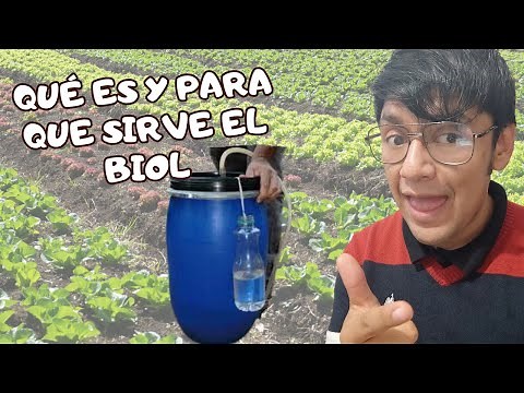 What is BIOL and what is it for? The best way to do it!