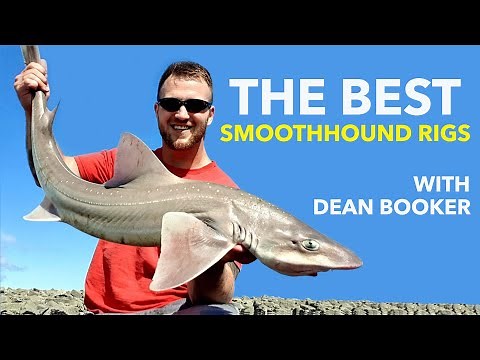 The Best Smoothhound Rigs - With Dean Booker