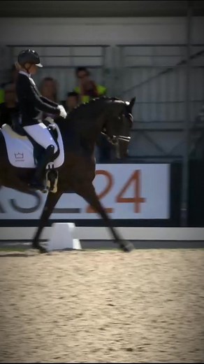 FEI WBFSH Dressage World Breeding Championship for Young Horses 🎥 🔴 LIVE STREAM August 6-10 ⭐️ Register now & don’t miss any highlights! • Access to all live and on demand content • All highlight events • fullscreen & high resolution on all your devices | ClipMyHorse.TV Deutschland