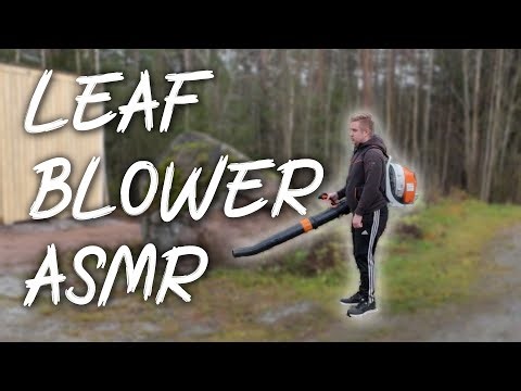 Stihl BR450 C-EF Leaf Blower ASMR