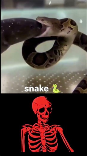 #trending