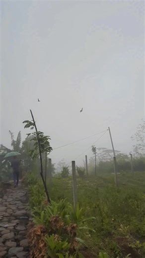 Please send me a WhatsApp message to *0760916629* and let me know whether you’re looking for: - A *couple’s cabana*, - A *family cabana*, - A place for a *group*, - Or a *party spot* for guys and girls. We have *5 different packages*, so I need to know exactly what you’re looking for to give you the right details quickly. Thank you so much! | Wind Chill Cottage