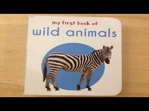 My First Book of Wild Animals Read Aloud