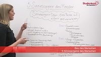 Die 5 Sinnesorgane des Menschen