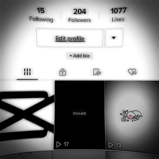 ⭐️CapCut, Funimate Overlays⭐️ on TikTok