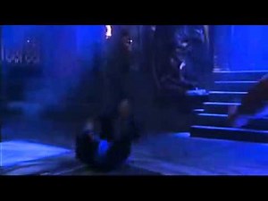 Sub-Zero vs Liu Kang (Mortal Kombat 1995)