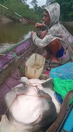 strikeee labi labi penunggu sungai mantapp