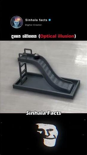 ඔයාට පේන දේ ඇත්තද? 🤯 | දෘශ්‍ය මෝහනය