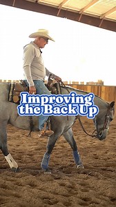 A good backup shouldn’t take a tug-of-war. In this video, I’m sharing a few of my go-to drills to help your horse back up with lightness and feel—without you having to pull every step of the way. It’s about building understanding and responsiveness, not just pressure. Train it right, and your horse will offer the backup before you even ask. #AlDunning #HorseTrainingTips #BackupDrills #WesternHorsemanship #TrainWithFeel #PerformanceHorse #HorsemanWisdom #SoftHands #HorseTrainerAdvice #Horsemanshi