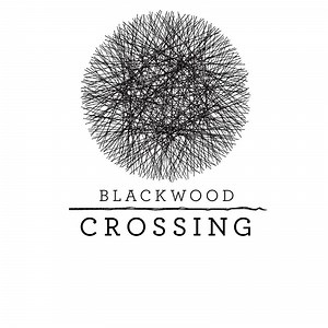 Blackwood Crossing (2017) - MobyGames