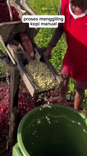 Menggiling kopi manual #kopi #kopirobusta
