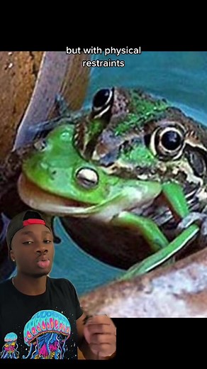 Discover the Strange World of Frogs in Nature