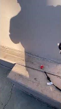 Corvette transmission shift linkage/cable replacement