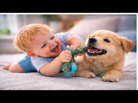 😂 Baby vs Puppy Rope Toy Wrestling & Rolling | Cutest Playtime Ever 🐶👶