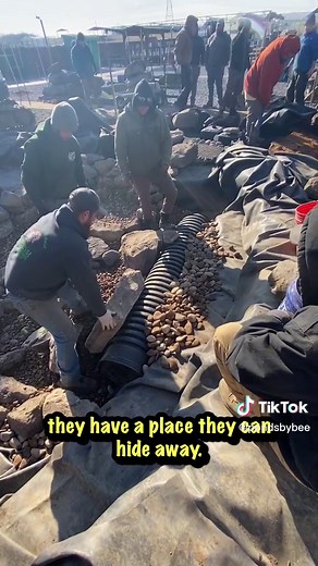 How to build a underwater Fish Cave for a Large KOI POND 💦 #koipond #koi #pond #swimpond #aquascape #pondideas #dayinmylife #backyardpond #diy #waterfeature