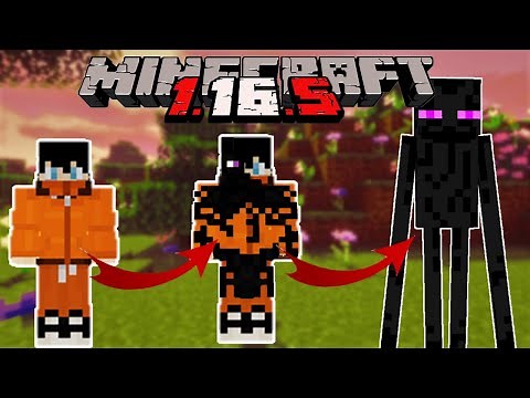 Minecraft Morph Mod para version 1.16.5 | Minecraft JAVA | Review en ESPAÑOL!!!