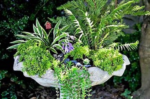 Make a Mini Fairy Garden in a Birdbath Planter