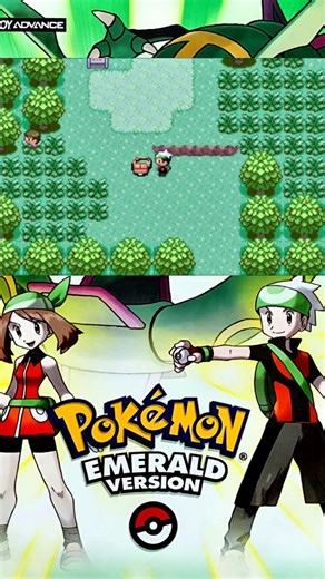 We The Pokemon on Instagram: "How to Obtain All The Hoenn Starters in Pokemon Emerald #Pokemon #PokemonEmerald #PokemonInstagram #PokemonGame #PokemonCommunity"