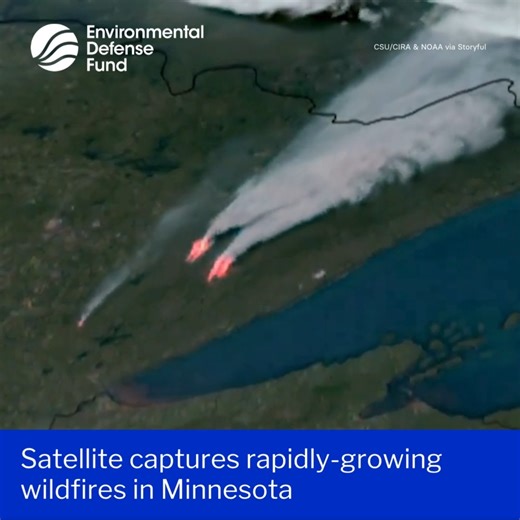 Satellite imagery shows two rapidly-growing wildfires in Minnesota on Monday, May 12, as the state’s governor signed an order authorizing the Minnesota National Guard to provide emergency assistance. The two largest blazes in the state, the Camp House Fire and the Jenkins Creek Fire, had grown to 1,250 acres and 1,500 acres, respectively, by Monday evening. FOX9 reported that some homes had been destroyed and residents evacuated. The St Louis County Sheriff also warned of a third fire burning on