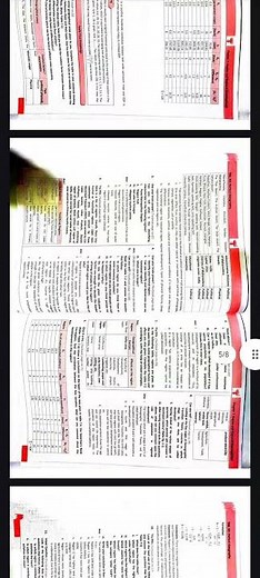 Region & Regional Development | Class 12 Geography | Concept Made Simple 💫